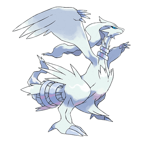Reshiram, the white dragon, official artwork